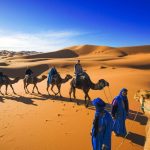Camel trek through the Sahara Desert on the 10-Day Imperial Cities and Sahara Desert Tour