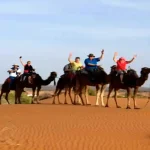 Camel caravan crossing the golden dunes of the Sahara Desert