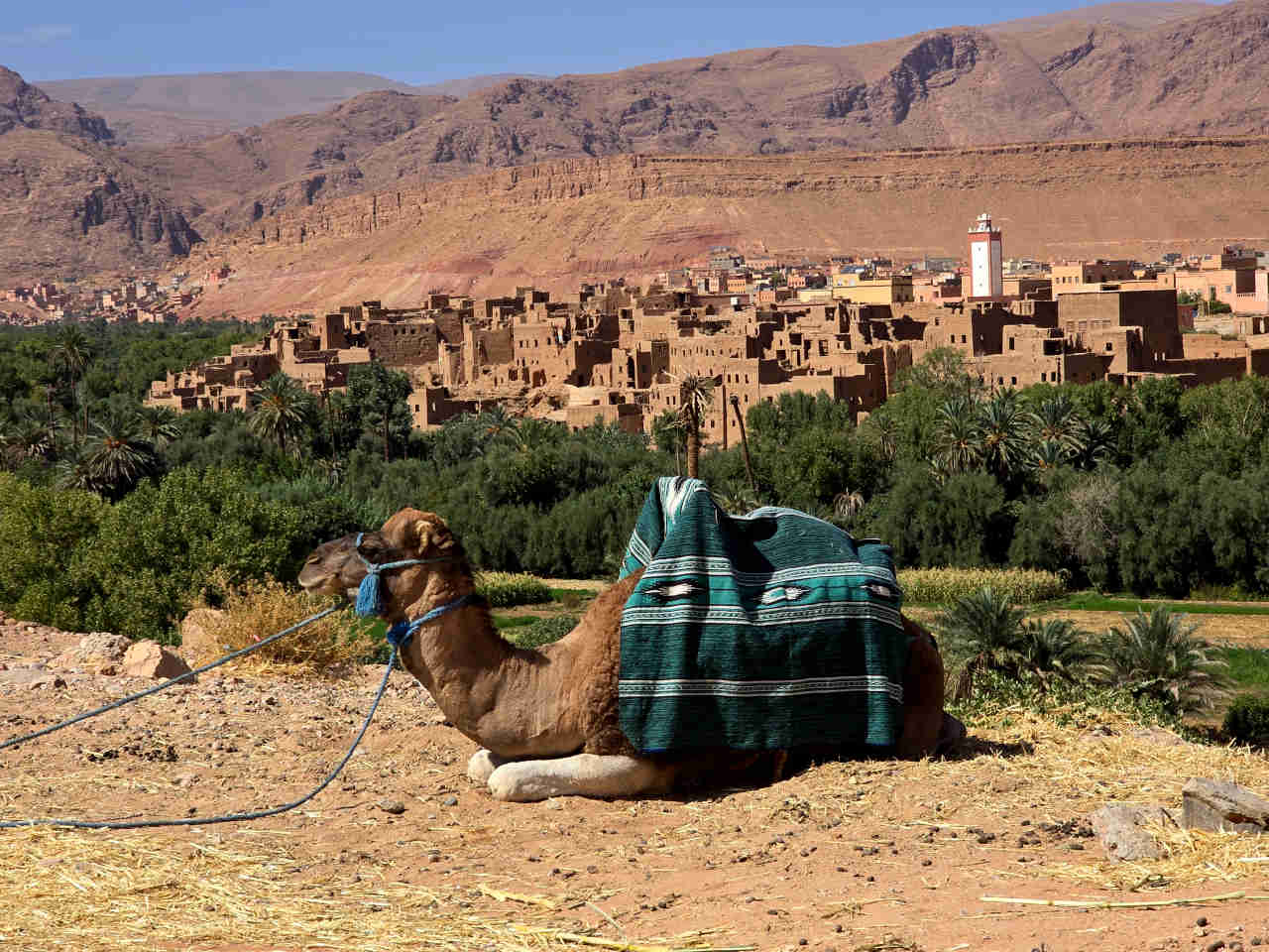 Todra Valley landscape in southern Morocco