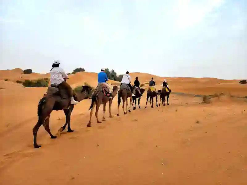 Travellers riding camels across the Merzouga dunes